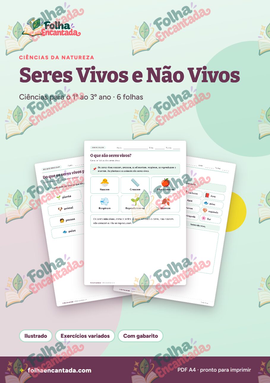 Prévia da página 1 de Seres Vivos e Não Vivos em Atividades