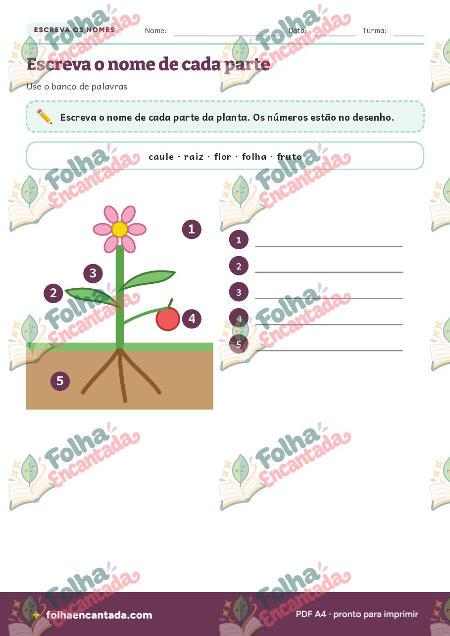 Prévia da página 3 de Partes da Planta em Atividades de Ciências