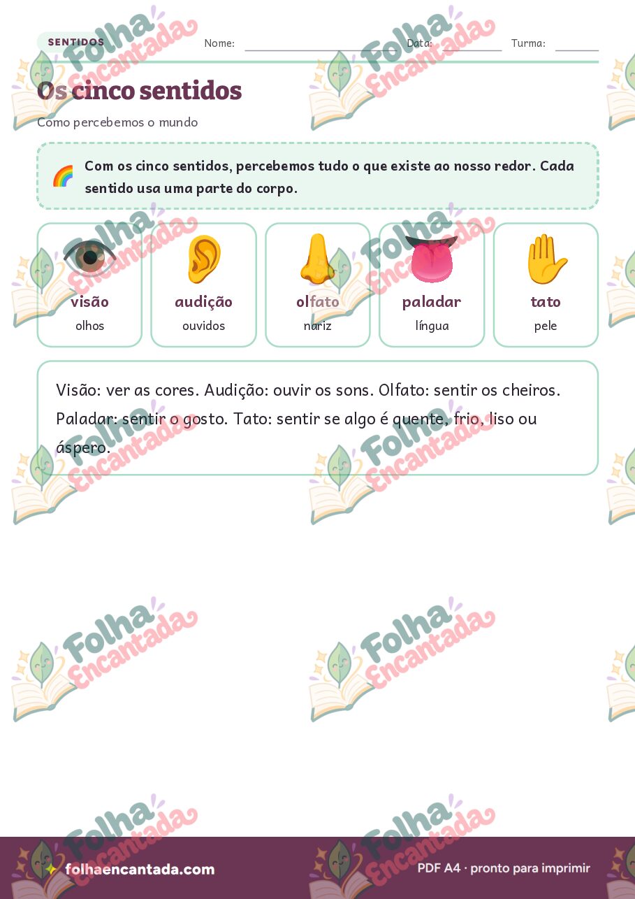Prévia da página 2 de Os Cinco Sentidos em Atividades de Ciências