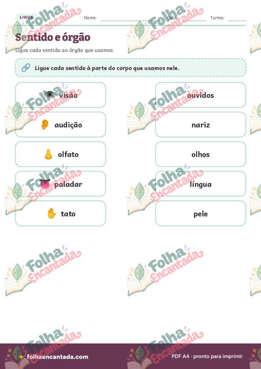 Prévia da página 3 de Os Cinco Sentidos em Atividades de Ciências
