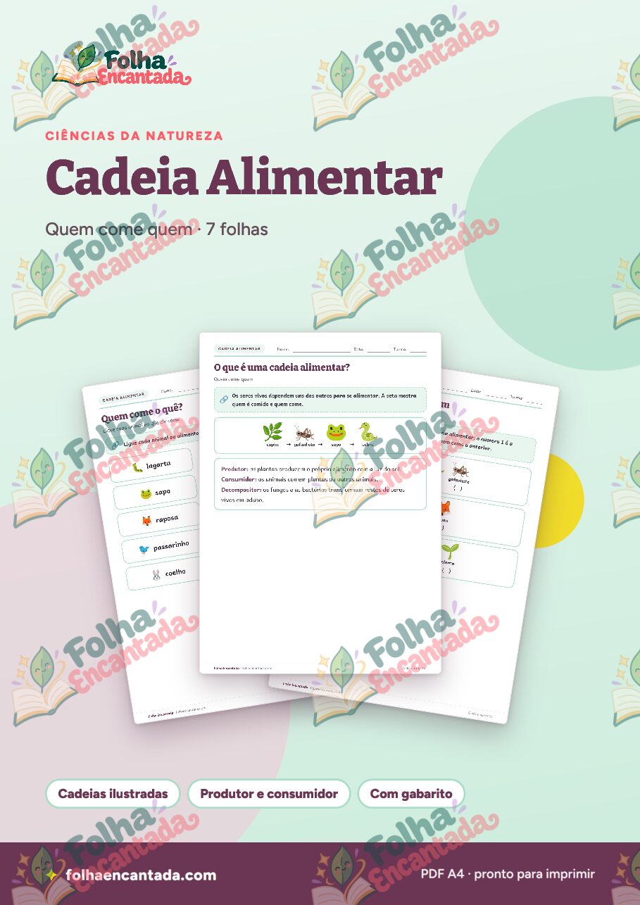 Prévia da página 1 de Cadeia Alimentar em Atividades
