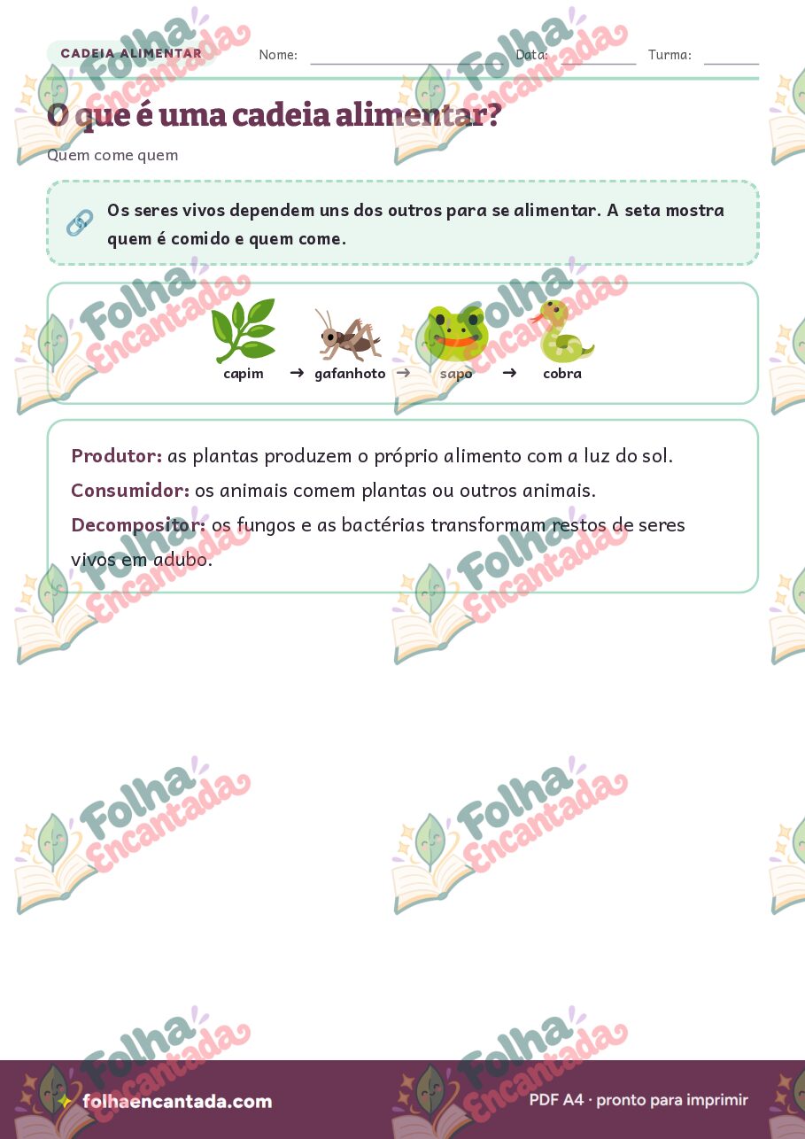 Prévia da página 2 de Cadeia Alimentar em Atividades