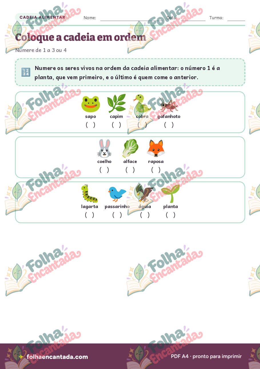 Prévia da página 3 de Cadeia Alimentar em Atividades