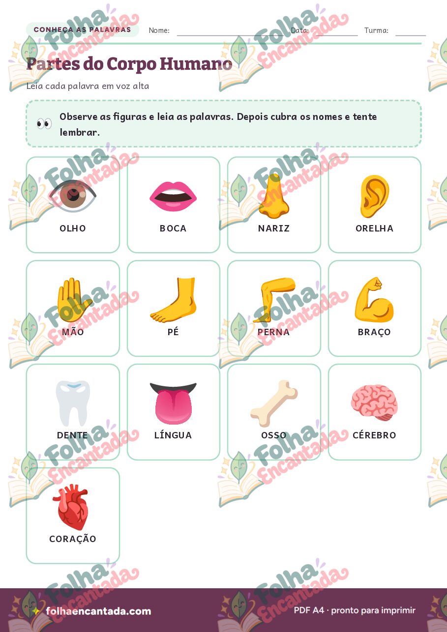 Prévia da página 2 de Ditado Ilustrado: Partes do Corpo Humano