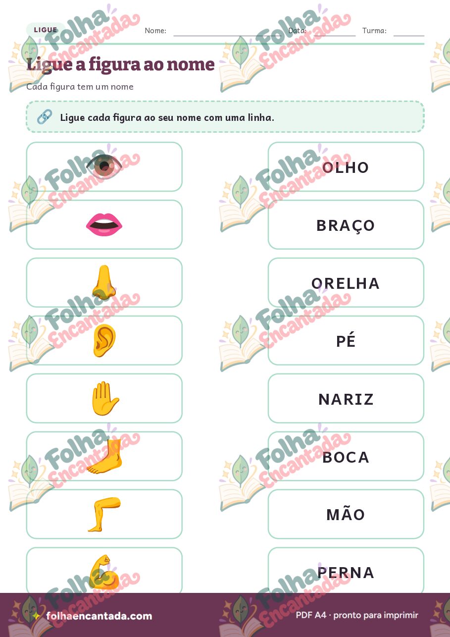 Prévia da página 3 de Ditado Ilustrado: Partes do Corpo Humano