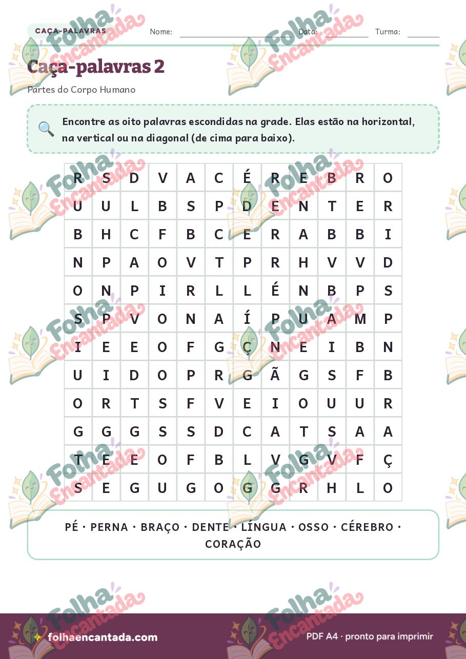 Prévia da página 3 de Caça-palavras: Partes do Corpo Humano